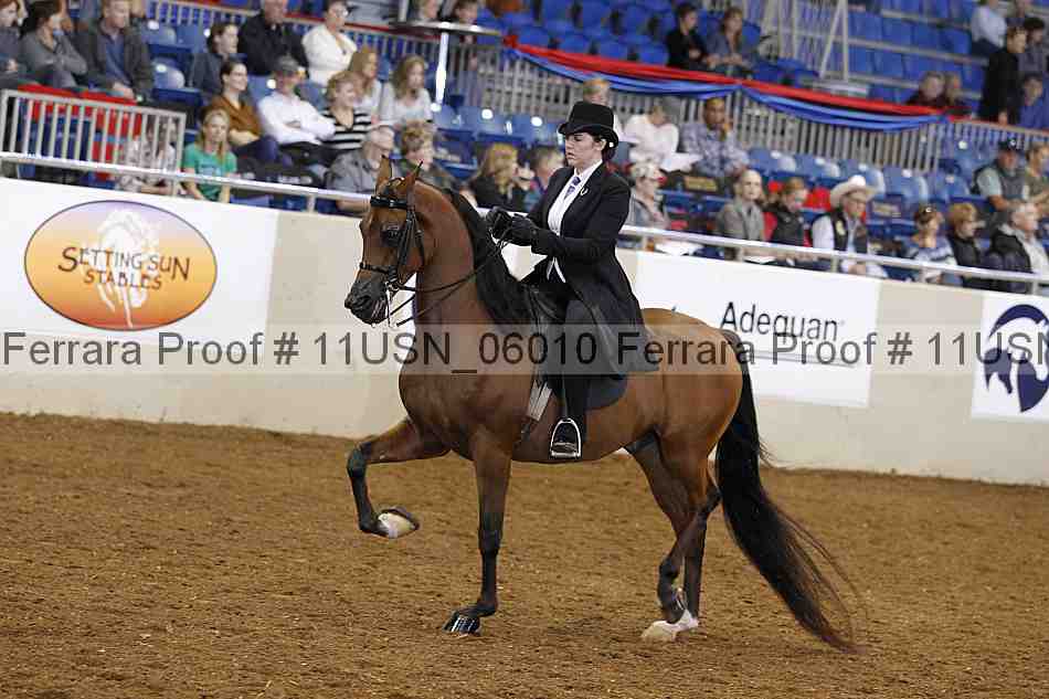Proof 11usn_06010