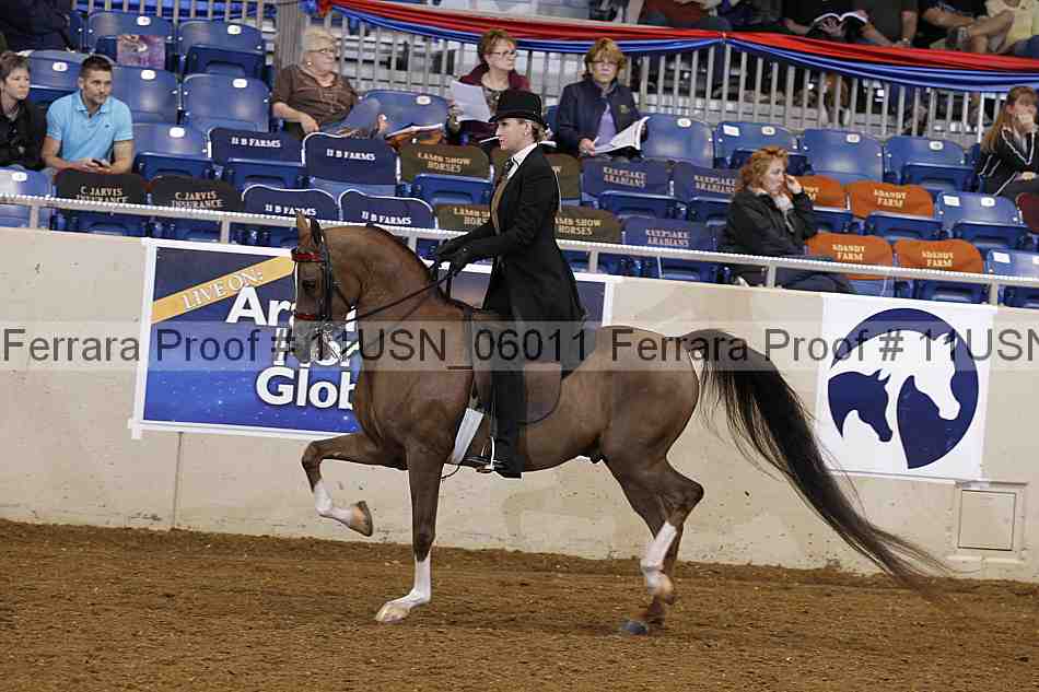 Proof 11usn_06011