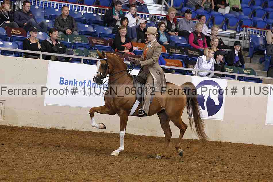 Proof 11usn_06012