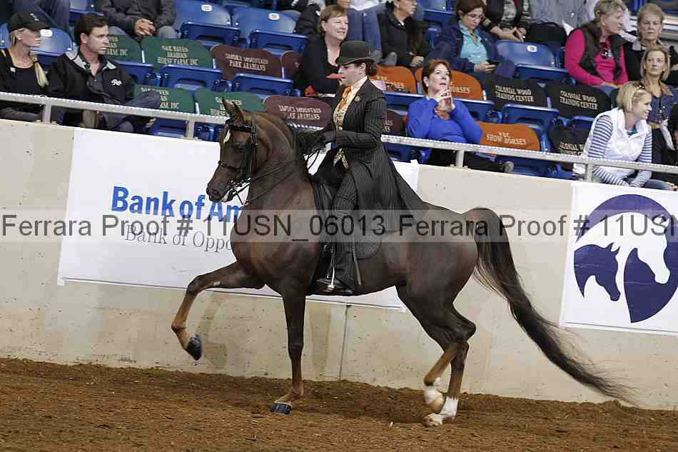 Proof 11usn_06013