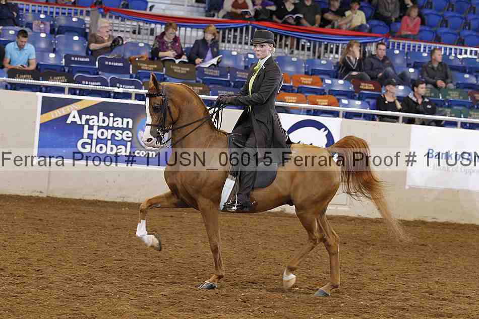 Proof 11usn_06015