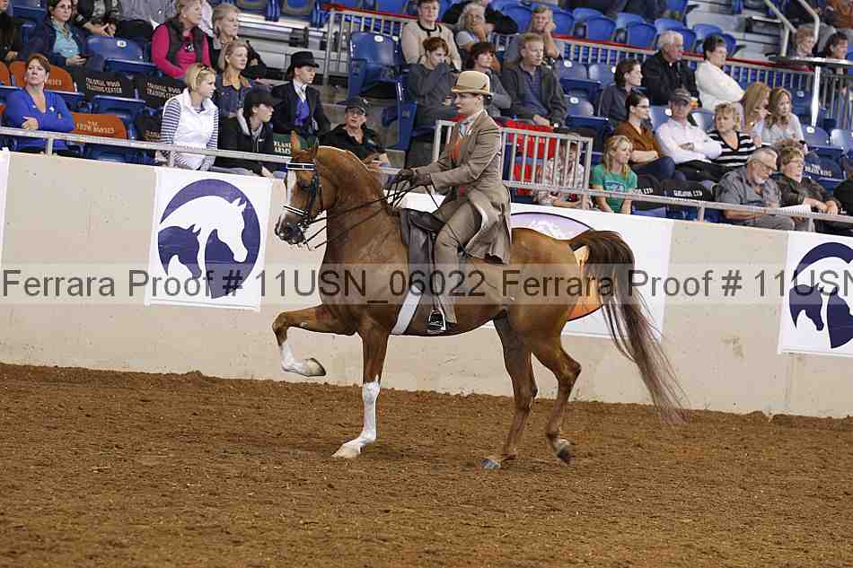 Proof 11usn_06022