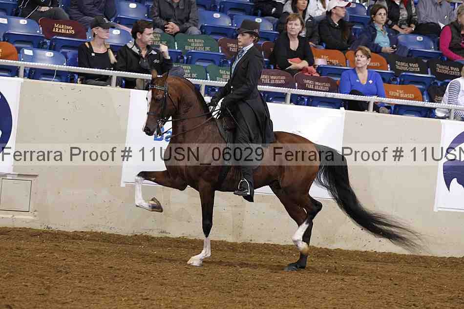 Proof 11usn_06029