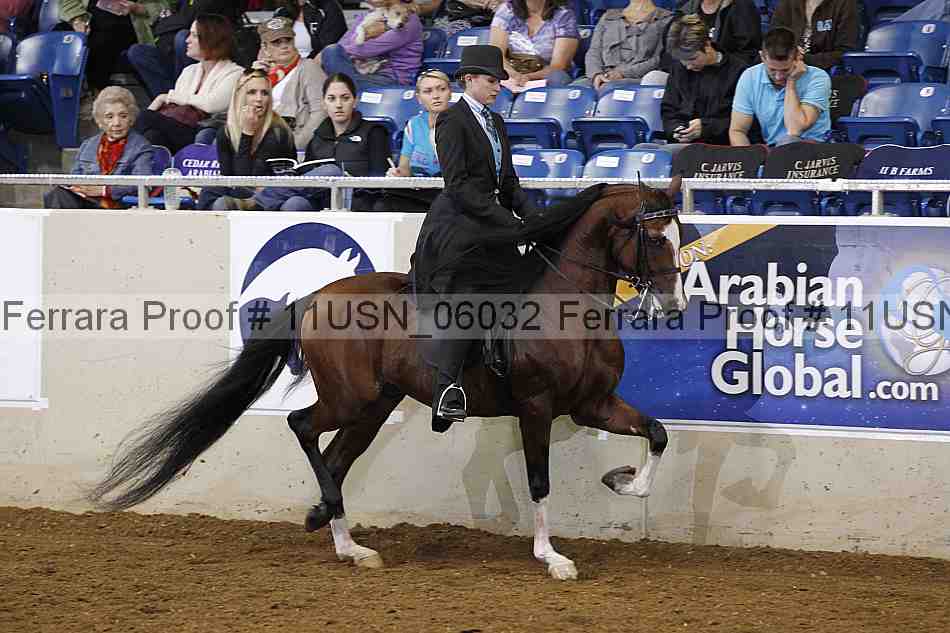 Proof 11usn_06032