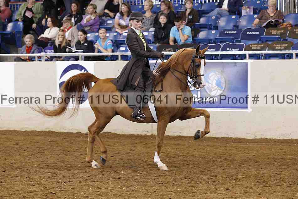 Proof 11usn_06041