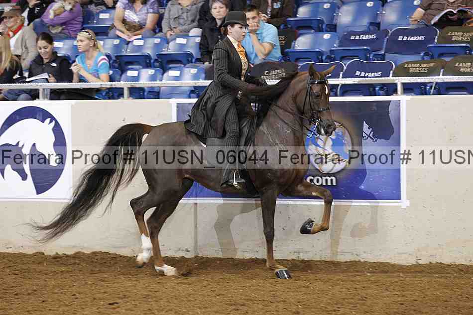 Proof 11usn_06044