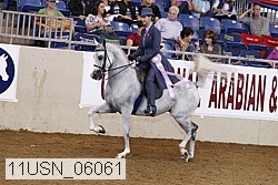 11usn_06061 proof