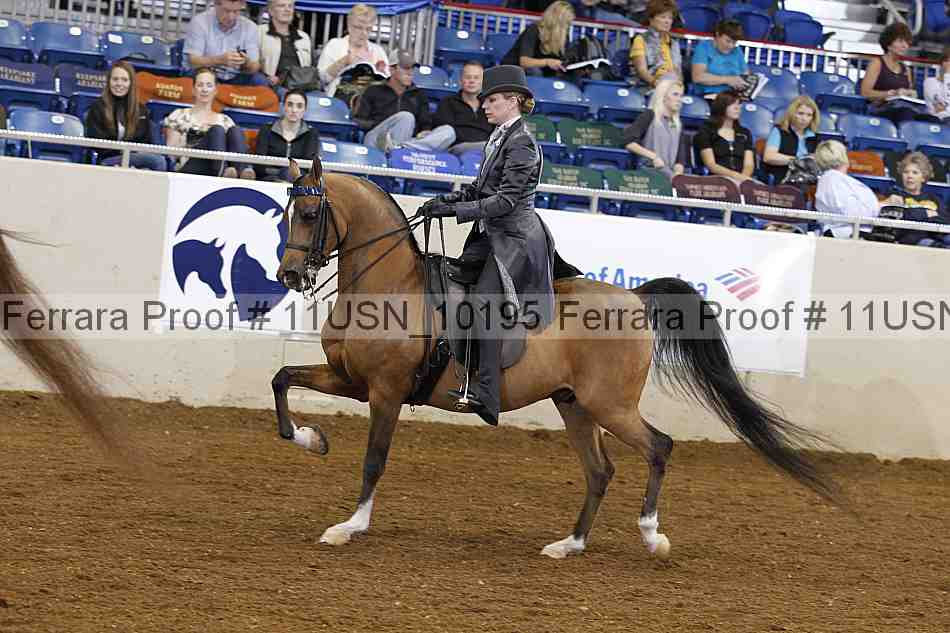 Proof 11usn_10195
