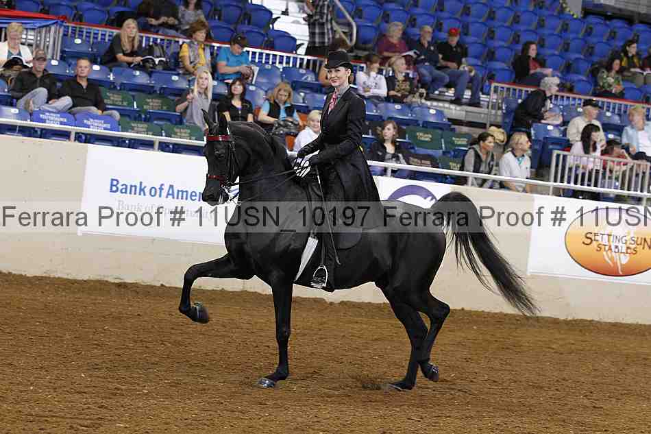 Proof 11usn_10197