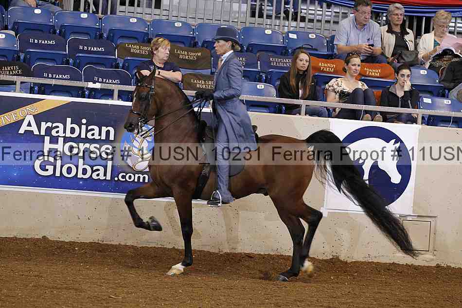 Proof 11usn_10231
