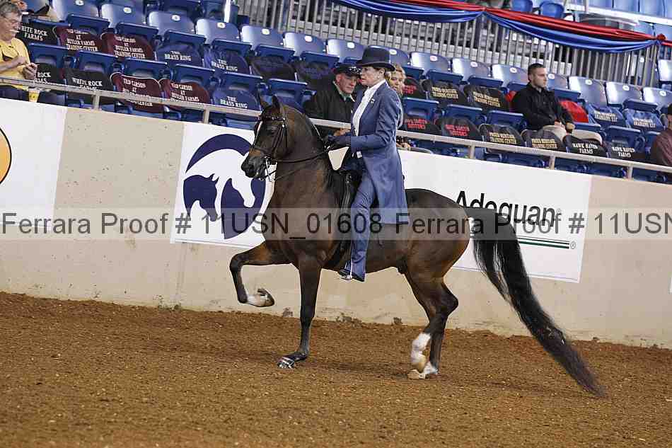 Proof 11usn_01608