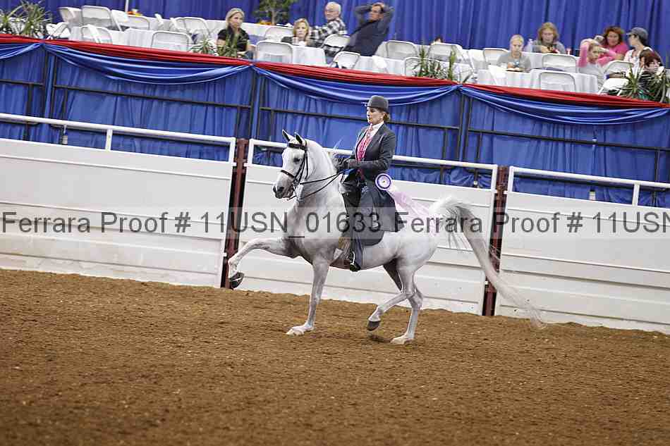 Proof 11usn_01633