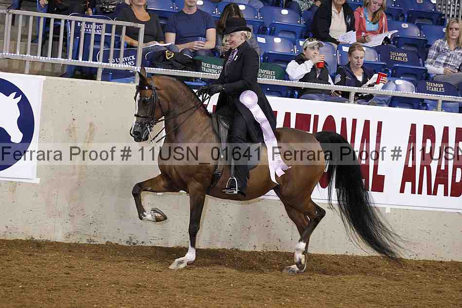 Proof 11usn_01641