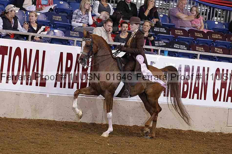 Proof 11usn_01646