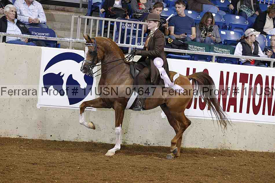 Proof 11usn_01647