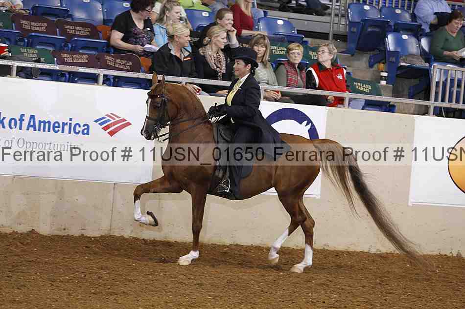 Proof 11usn_01650