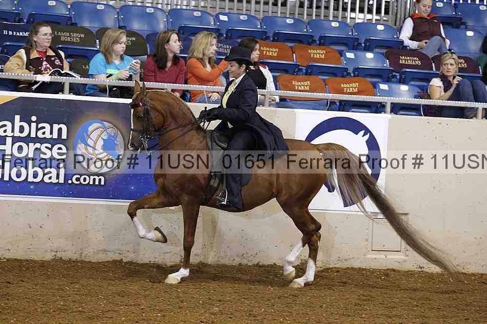Proof 11usn_01651
