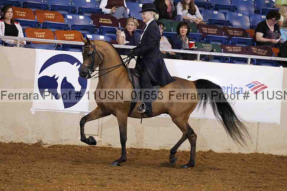 Proof 11usn_01653