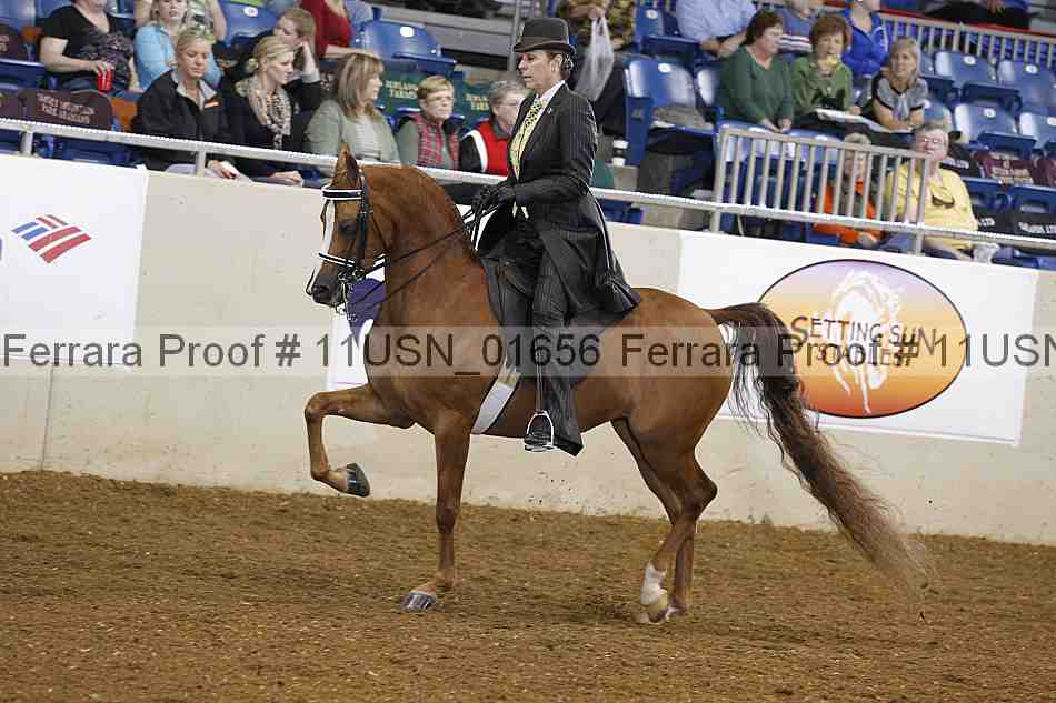 Proof 11usn_01656