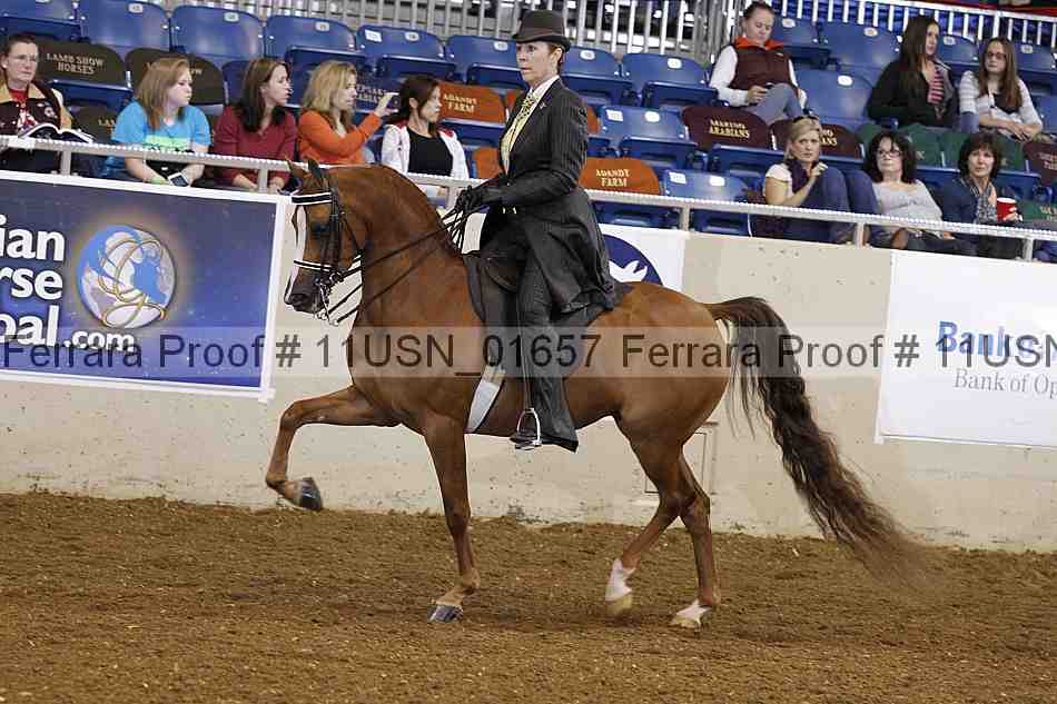 Proof 11usn_01657