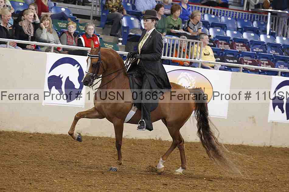 Proof 11usn_01663