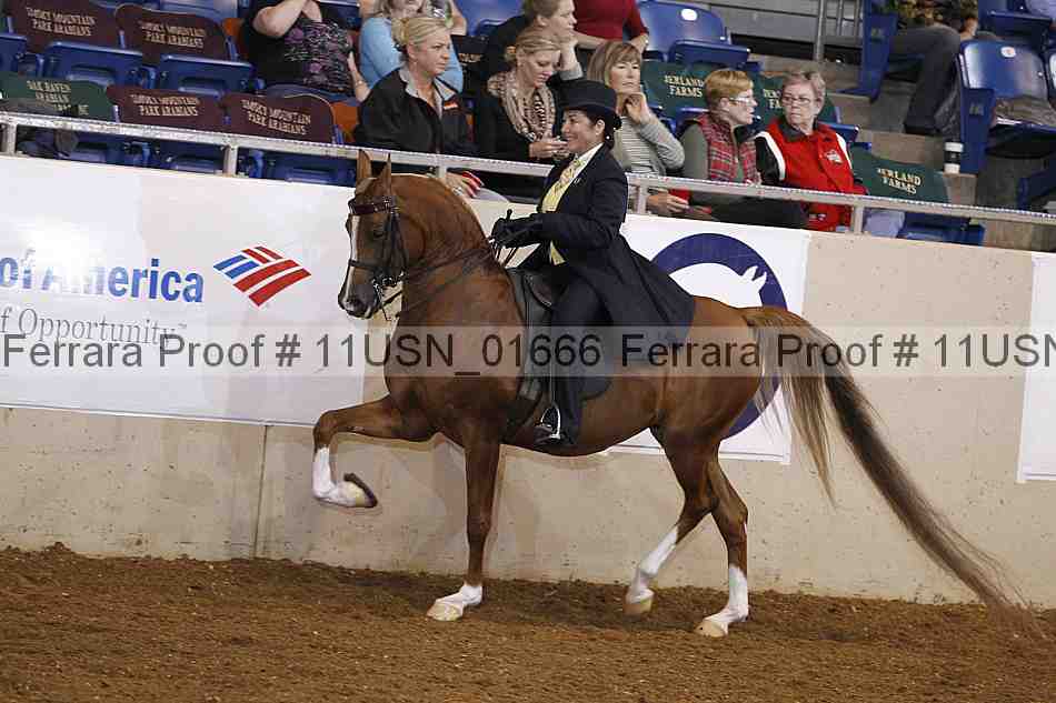 Proof 11usn_01666