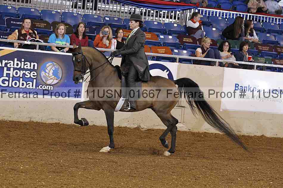Proof 11usn_01667