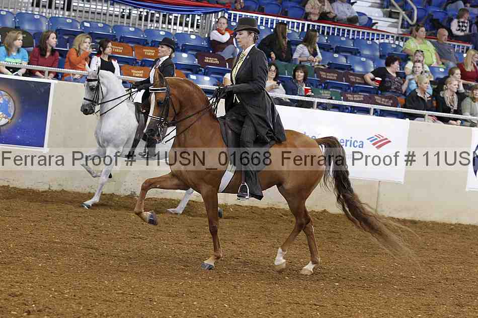 Proof 11usn_01668