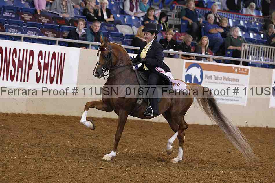 Proof 11usn_01677