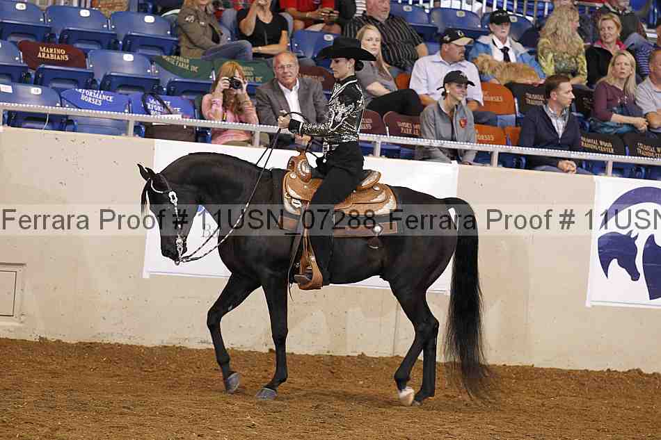 Proof 11usn_07288