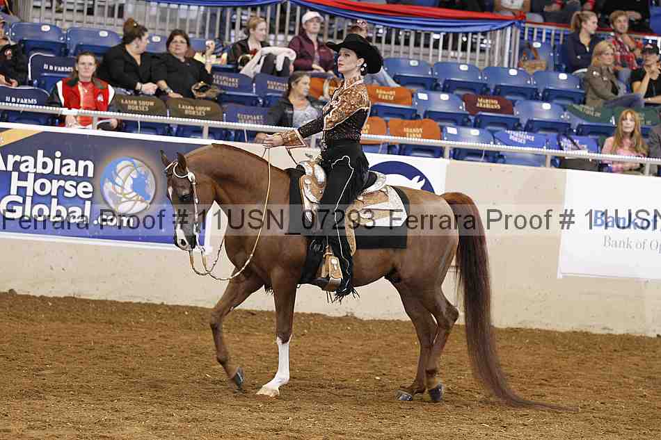 Proof 11usn_07293