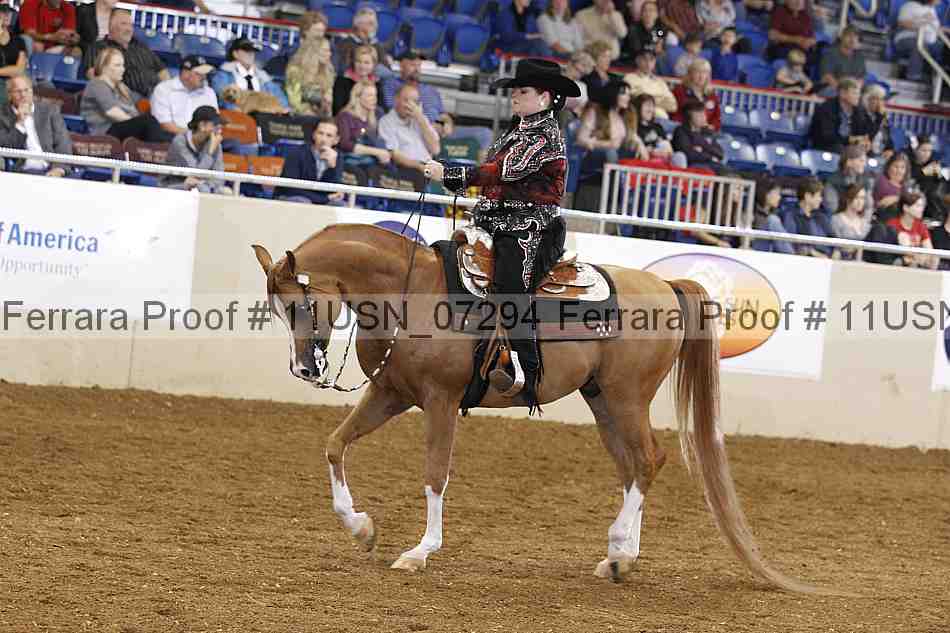 Proof 11usn_07294