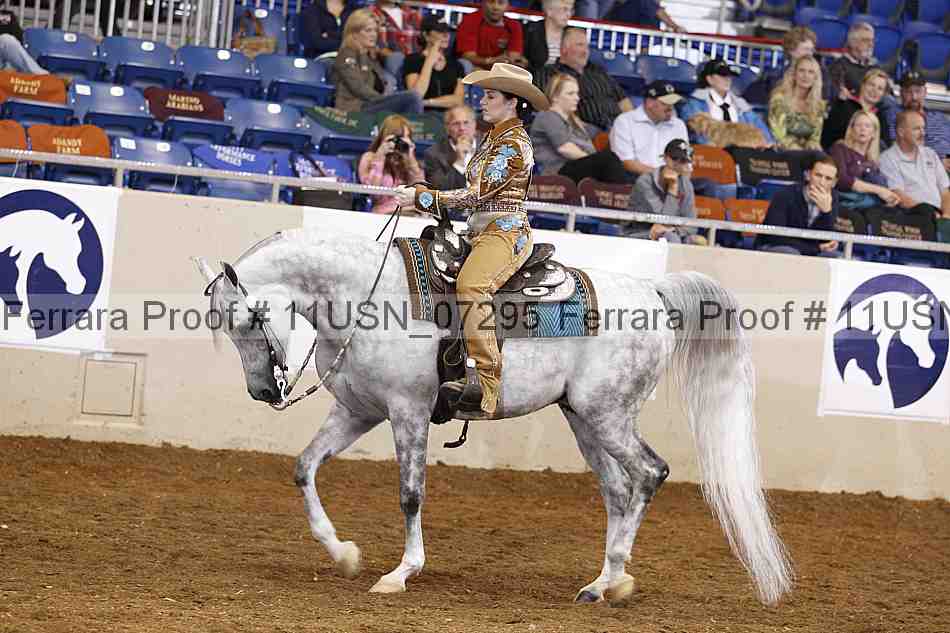 Proof 11usn_07295