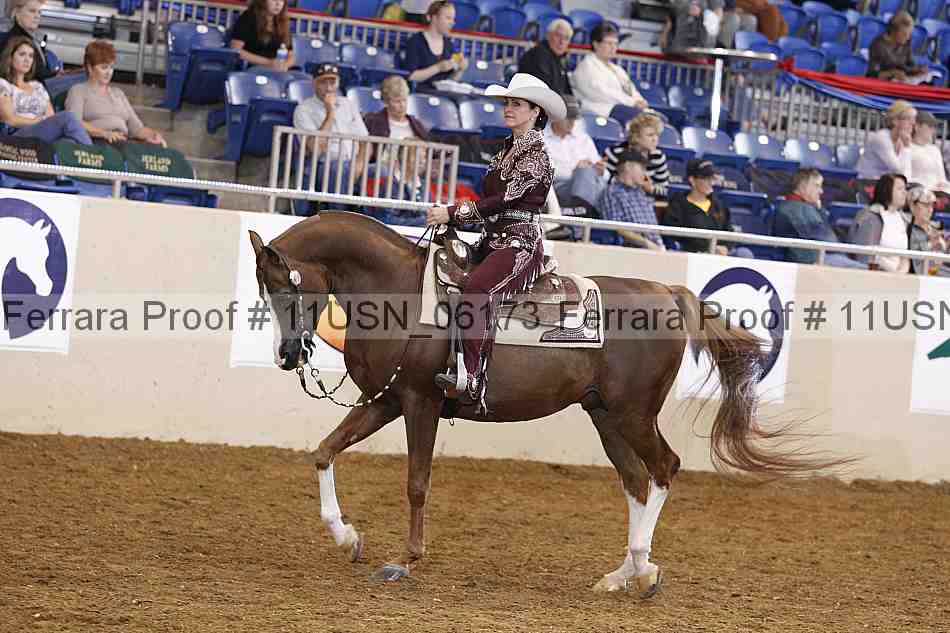 Proof 11usn_06173