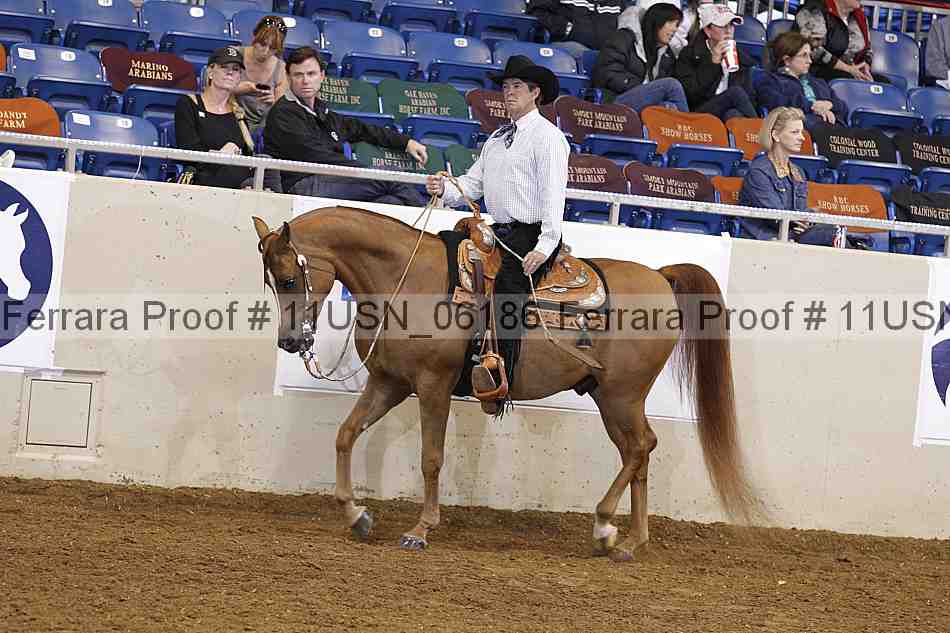 Proof 11usn_06186
