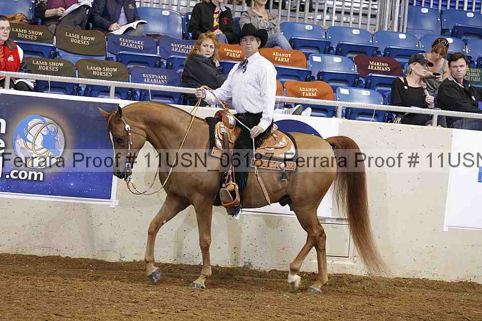 Proof 11usn_06187