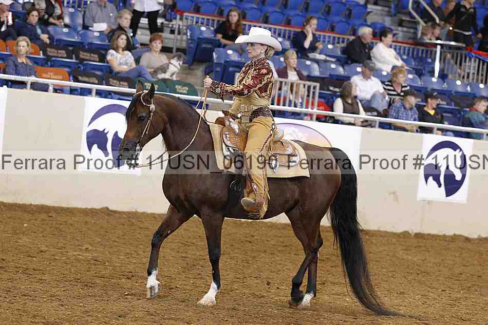 Proof 11usn_06190