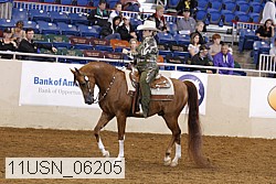 11usn_06205 proof
