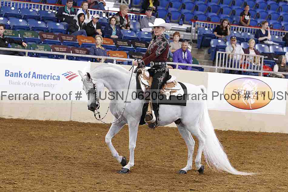 Proof 11usn_06206