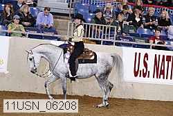 11usn_06208 proof