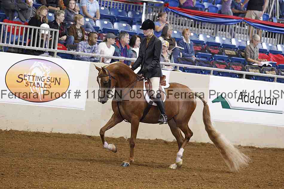 Proof 11usn_05728