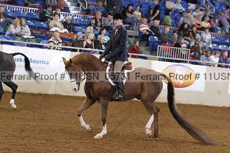 Proof 11usn_05731