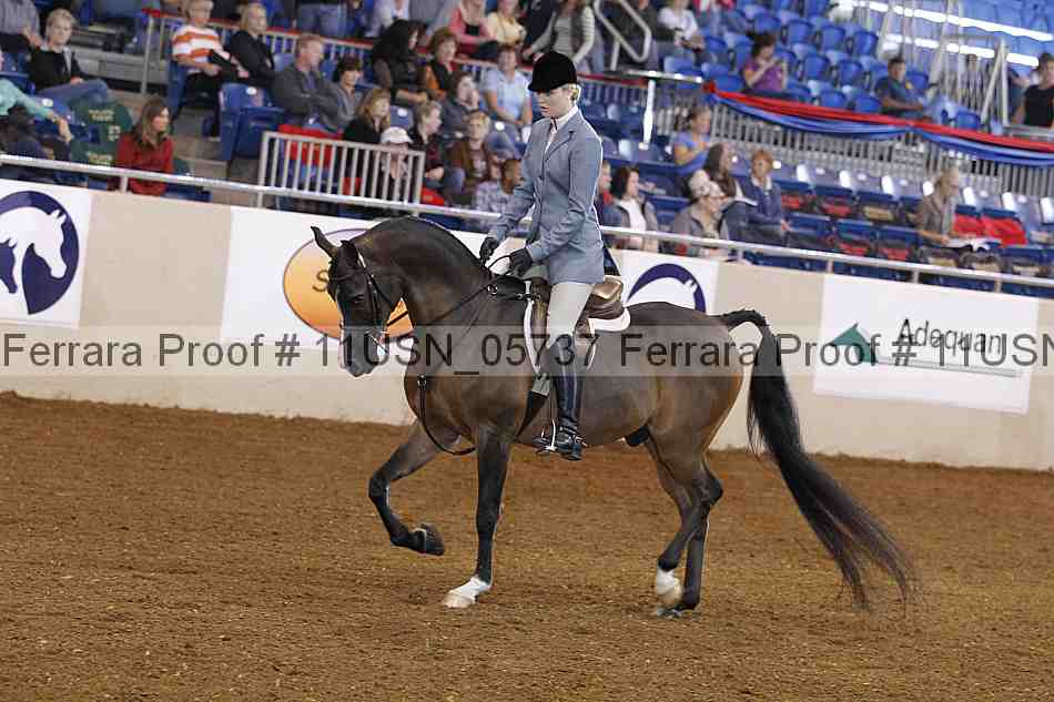 Proof 11usn_05737