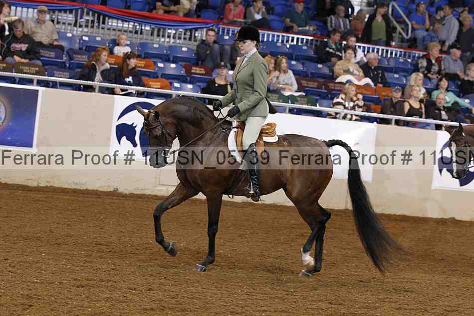 Proof 11usn_05739