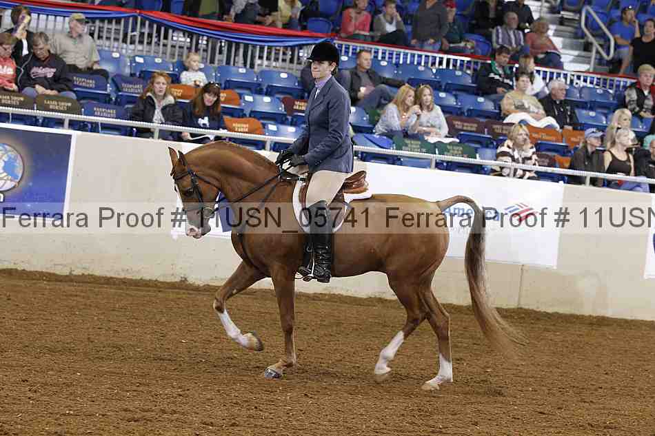 Proof 11usn_05741