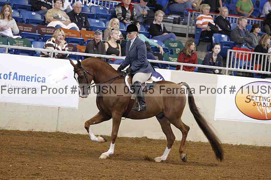 Proof 11usn_05745