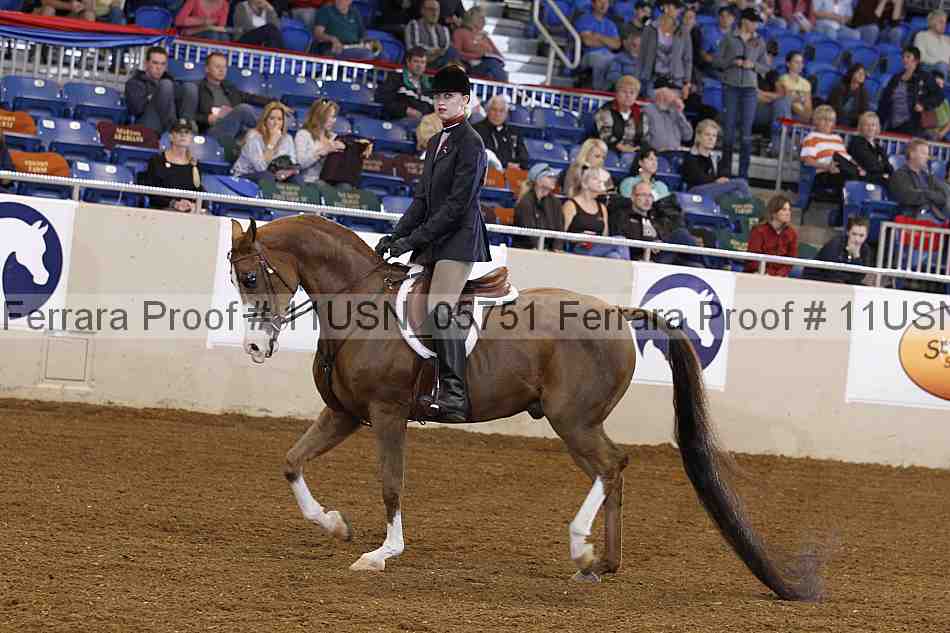 Proof 11usn_05751