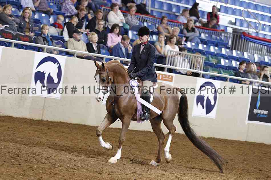Proof 11usn_05760