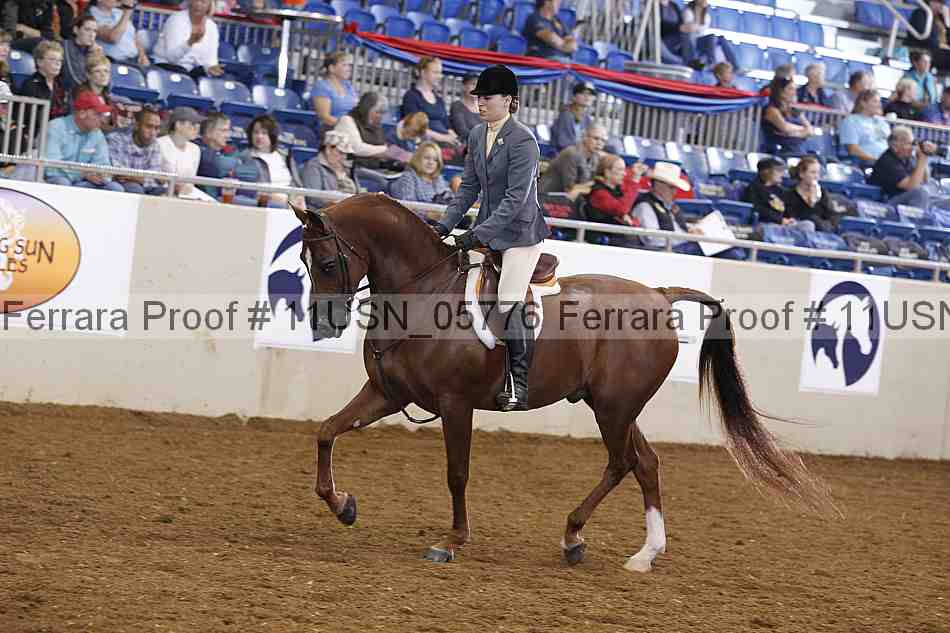 Proof 11usn_05776