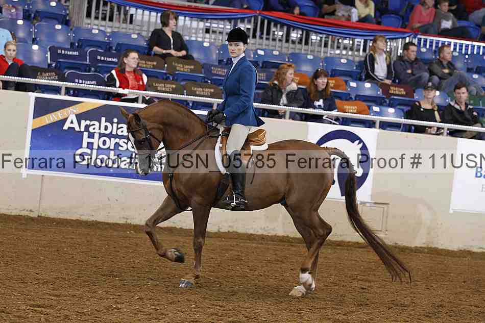 Proof 11usn_05785